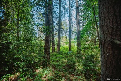 0 SW 192nd St, Vashon, WA 98070 - photo 7