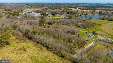 10329 Racetrack Rd, Berlin, MD 21811 - photo 7