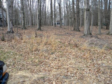 93 Wallenpaupack Dr, Lake Ariel, PA 18436 - photo 4