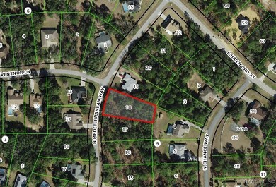 1329 N Mediterranean Way, Citrus Hills, FL 34453 - photo 5