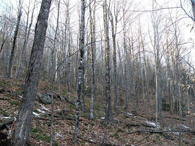 0 Weeks Rd, Warren, NH 03279 - photo 2