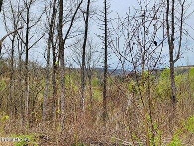 loop rd gatlinburg pic 3