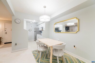 134 Turtle Creek Rd unit 4, Charlottesville, VA 22901 - photo 6