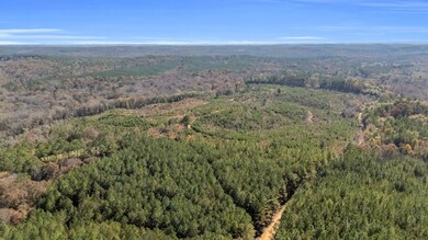 0000 Iron Bridge Rd, Sulligent, AL 35586 - photo 7