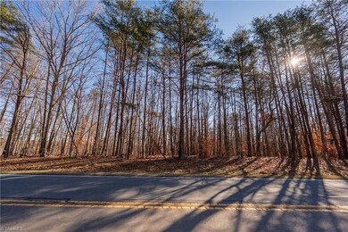 0 Brown Rd, King, NC 27021 - photo 2