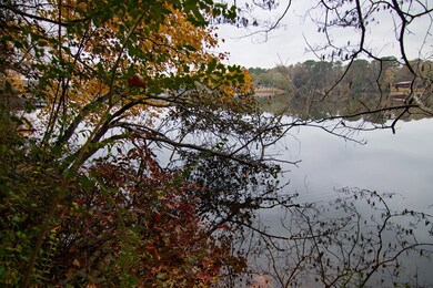 0 E Pine Lake Dr, West Point, GA 31833 - photo 5