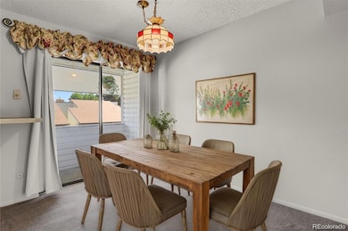 5024 Secota Ln unit 2, Colorado Springs, CO 80917 - photo 6