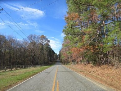 862 Dewitt Smith Rd, Pittsboro, NC 27312 - photo 6