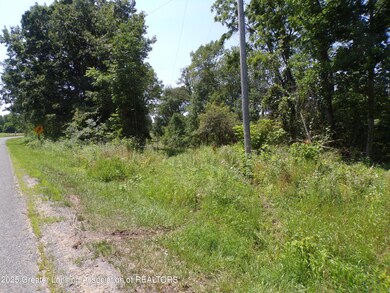 0 S Lacey Lake Rd unit 289887, Bellevue, MI 49021 - photo 3