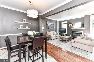 3686 Madison Watch Way, Falls Church, VA 22041 - photo 4