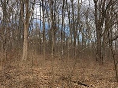 2 Canton Ave, Amherst, MA 01002 - photo 2