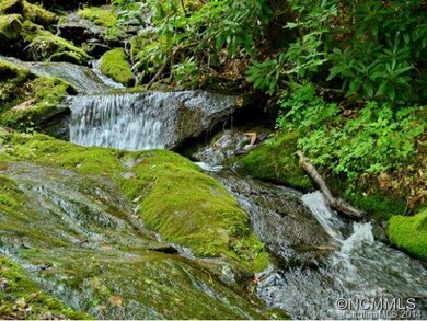 Wolfe Creek