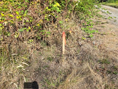 3106 Talbot Rd S, Renton, WA 98055 - photo 6