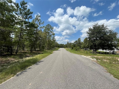 6253 Emory Ave, Keystone Heights, FL 32656 - photo 3