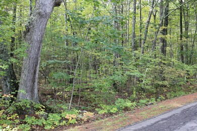 Lot 5
