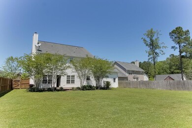 Backyard 1