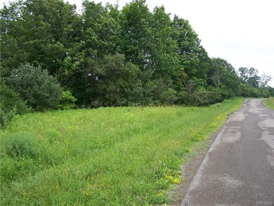 View of frontage on McNaulty