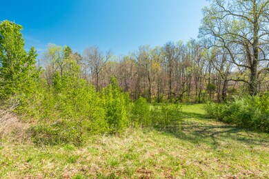 2106KingViewLoop-2