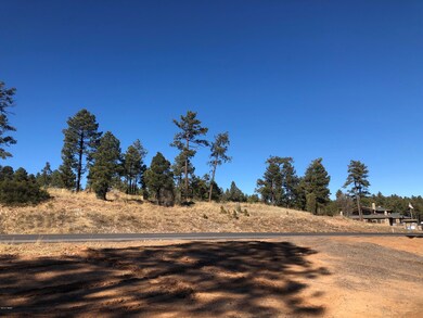 Tract D S White Mountain Rd, Show Low, AZ 85901 - photo 6