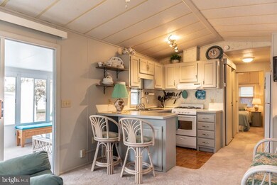 386 Seahawk Ln, Berlin, MD 21811 - photo 7