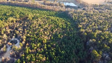 10414 Cactus Rd, Ore City, TX 75683 - photo 6