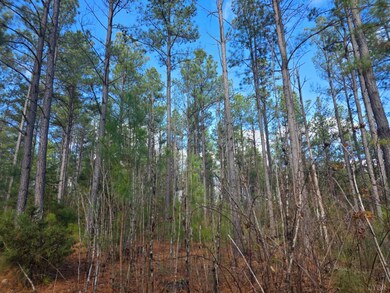 0 Norwood Rd unit 363393, Gladstone, VA 24553 - photo 5