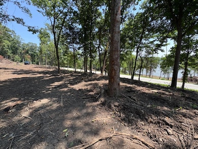 17711 Indiana 156, Florence, IN 47020 - photo 2