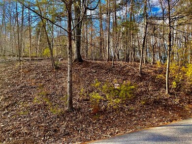 LOT 114 Yates Ln, Lake Lure, NC 28746 - photo 2