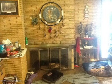 Wood burning fireplace