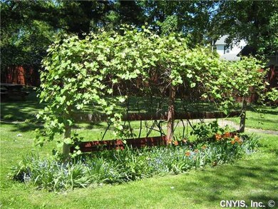 Yard/Garden