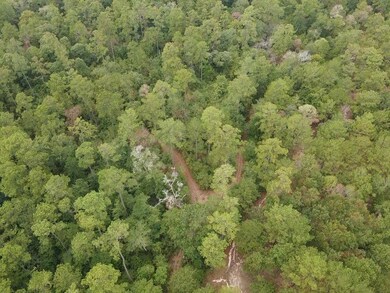 Aerial overview of property's location featuring a forest