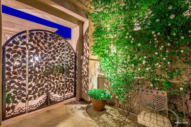 Custom Iron gate