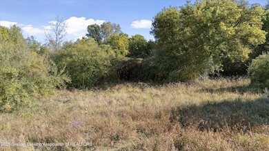 V/L Mill St, Maple Rapids, MI 48853 - photo 3