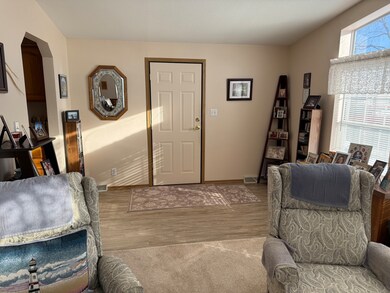 10856 W Gateway Dr, Frankfort, IL 60423 - photo 4