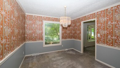 1519 Gaidry Rd, Lexington, KY 40505 - photo 4