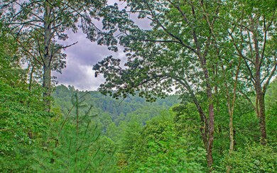 Additional View