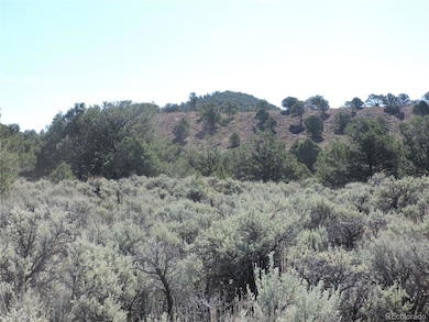 Lot 7563 Dolder Rd unit 7563, Fort Garland, CO 81133 - photo 5