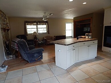 2249 N Page Ave, Hernando, FL 34442 - photo 6