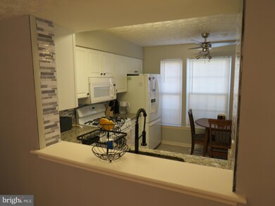 993 Joshua Tree Ct, Owings Mills, MD 21117 - photo 7