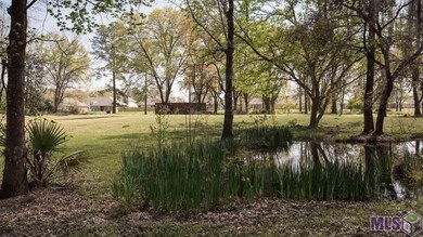 39423 Bon Terre Dr, Gonzales, LA 70737 - photo 6