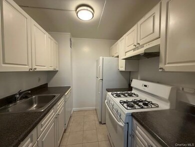 100 Clinton Ave unit 1V, Mineola, NY 11501 - photo 3