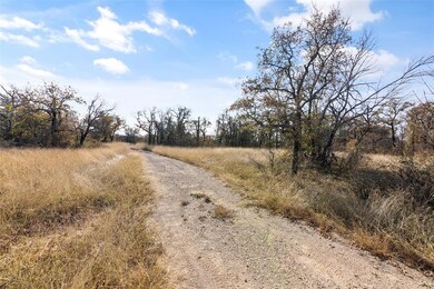 8955 Wolf Hollow, Cool, TX 76066 - photo 3