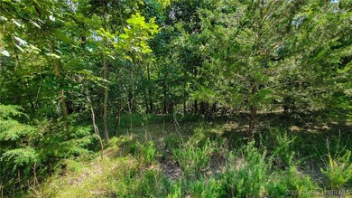 Lot #866 Grand Cypress, Jasper Township, MO 65079 - photo 4