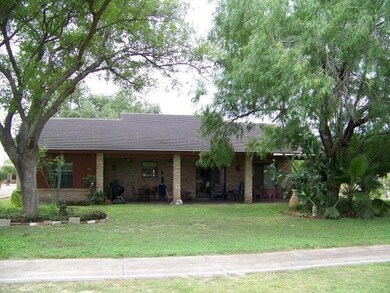 427 Rexine Dr, Alamo, TX 78516 - photo 2