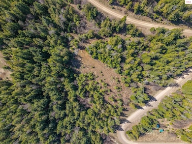 Lot 7 Sled Run Trail, Clark Fork, ID 83811 - photo 5