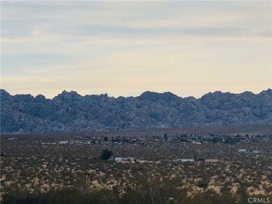 5000 Pearl Springs Ave, Twentynine Palms, CA 92277 - photo 2