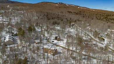 7 Yodeling Ln, West Dover, VT 05356 - photo 4