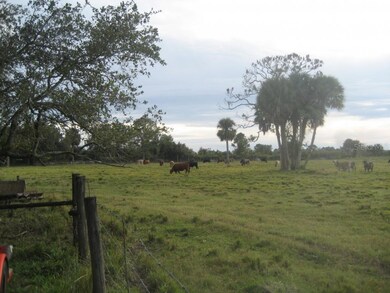 1010 NW 141st St, Okeechobee, FL 34972 - photo 5