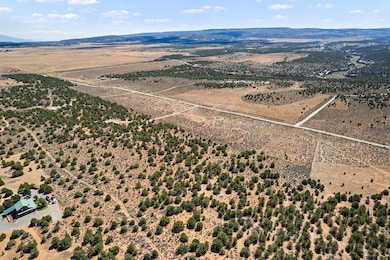 14726 Sage Brush Ln, Glade Park, CO 81523 - photo 4