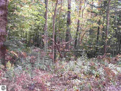 0 Lula Ln unit 52-55 1855604, Alger, MI 48756 - photo 5